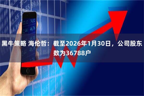 黑牛策略 海伦哲：截至2026年1月30日，公司股东数为36788户